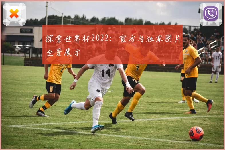 探索世界杯2022:官方与独家图片全景展示