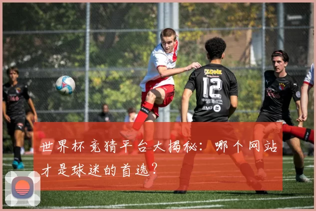 世界杯竞猜平台大揭秘:哪个网站才是球迷的首选?