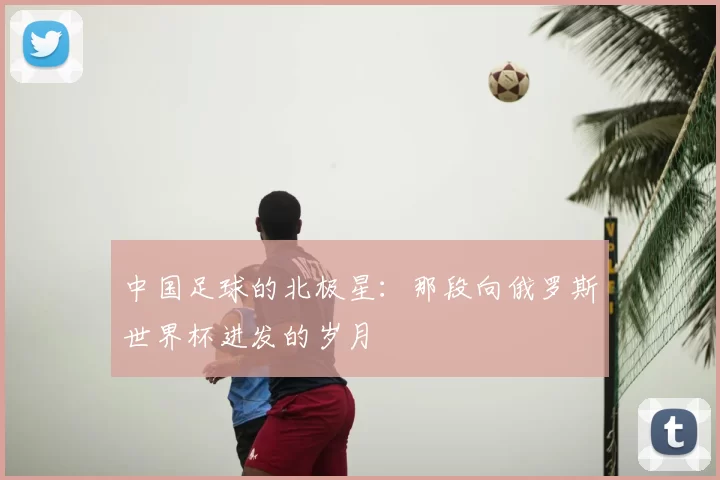 中国足球的北极星:那段向俄罗斯世界杯进发的岁月