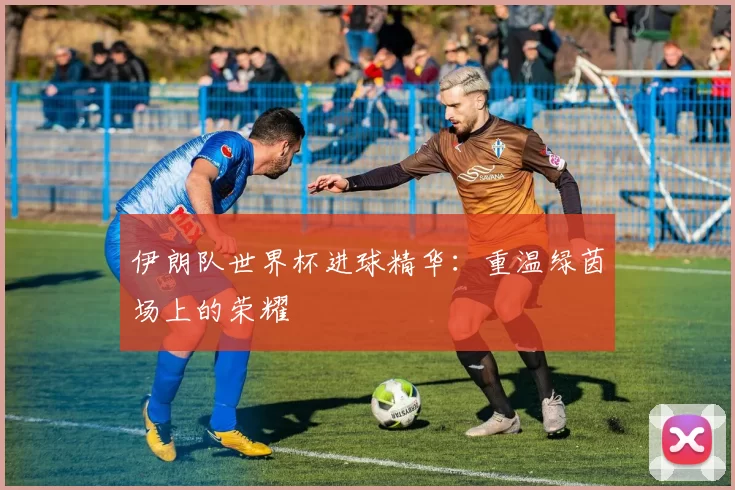 伊朗队世界杯进球精华:重温绿茵场上的荣耀