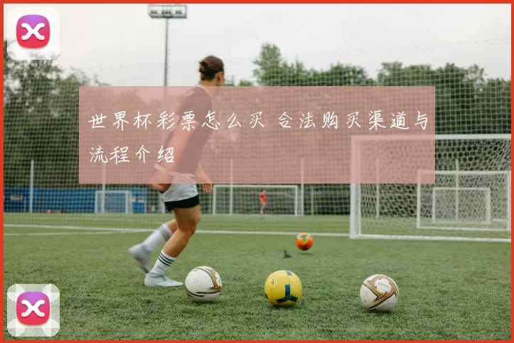 世界杯彩票怎么买 合法购买渠道与流程介绍