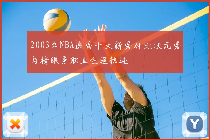 2003年NBA选秀十大新秀对比状元秀与榜眼秀职业生涯轨迹