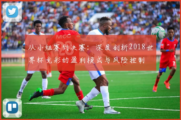 从小组赛到决赛:深度剖析2018世界杯竞彩的盈利模式与风险控制