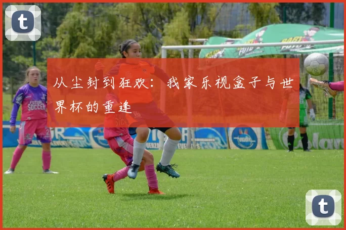 从尘封到狂欢:我家乐视盒子与世界杯的重逢