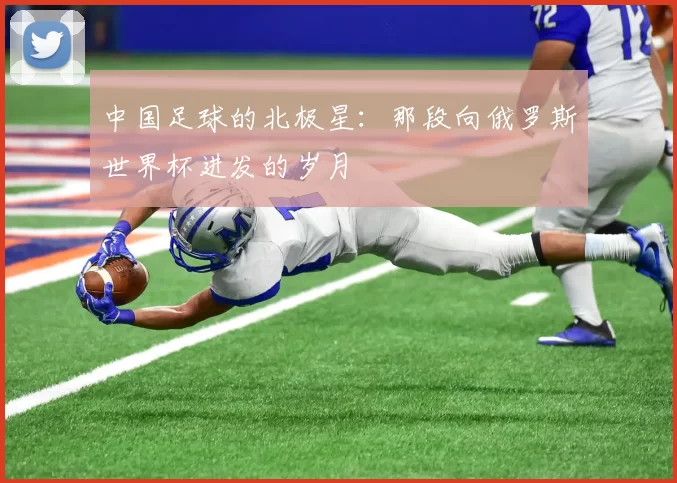 中国足球的北极星:那段向俄罗斯世界杯进发的岁月