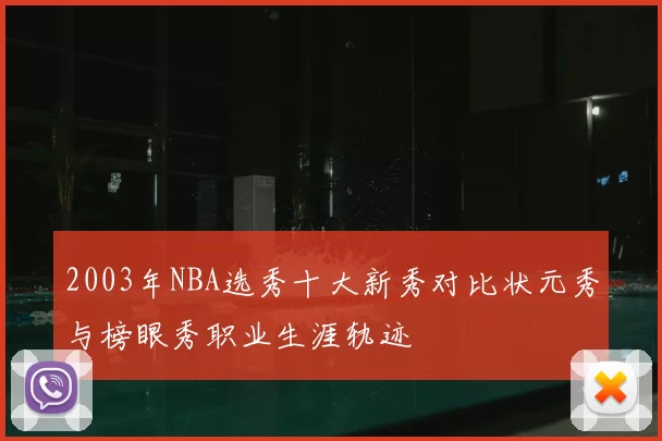 2003年NBA选秀十大新秀对比状元秀与榜眼秀职业生涯轨迹
