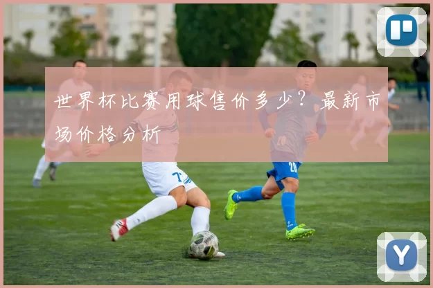 世界杯比赛用球售价多少?最新市场价格分析