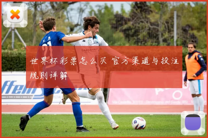 世界杯彩票怎么买 官方渠道与投注规则详解