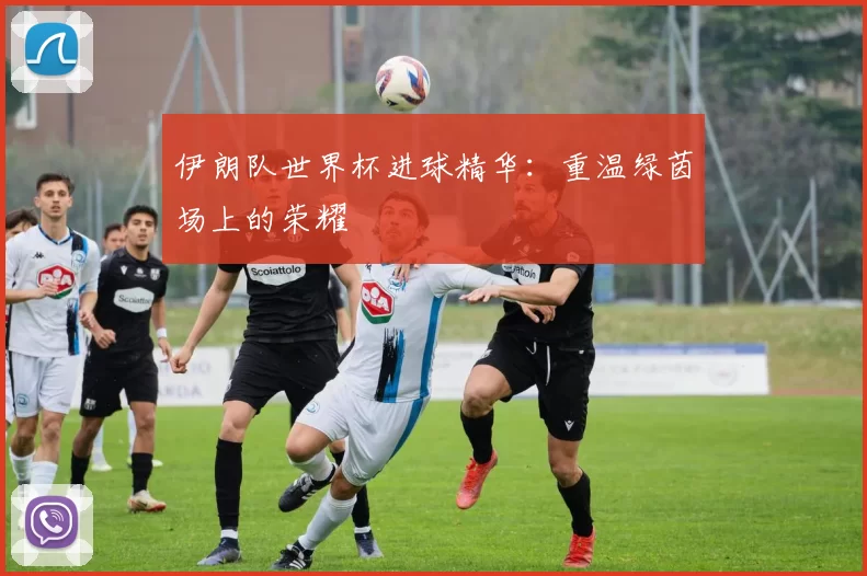 伊朗队世界杯进球精华:重温绿茵场上的荣耀