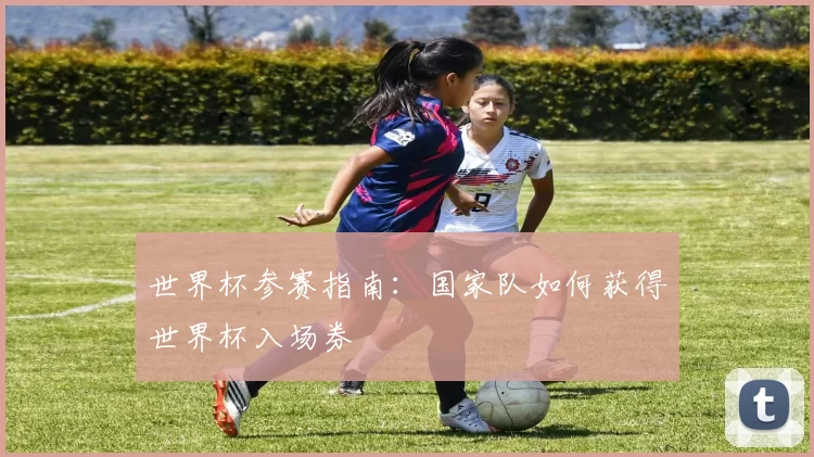 世界杯参赛指南:国家队如何获得世界杯入场券