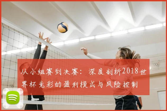 从小组赛到决赛：深度剖析2018世界杯竞彩的盈利模式与风险控制